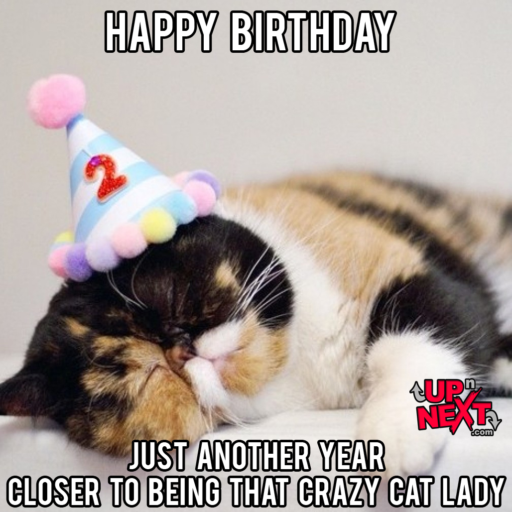 happy birthday funny cat meme
