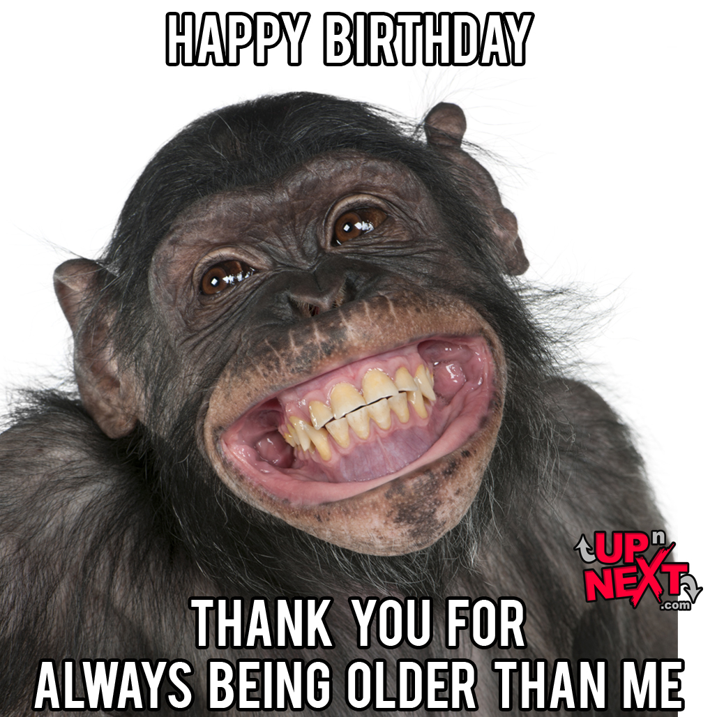 happy birthday monkey meme