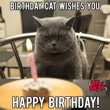 30+ Funny Happy Birthday Memes (Cake, Candles, Cat, Dog & Many)