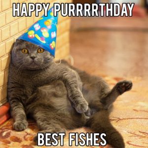 30+ Funny Happy Birthday Memes (Cake, Candles, Cat, Dog & Many)