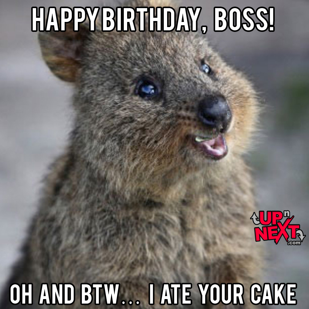 happy birthday boss man meme
