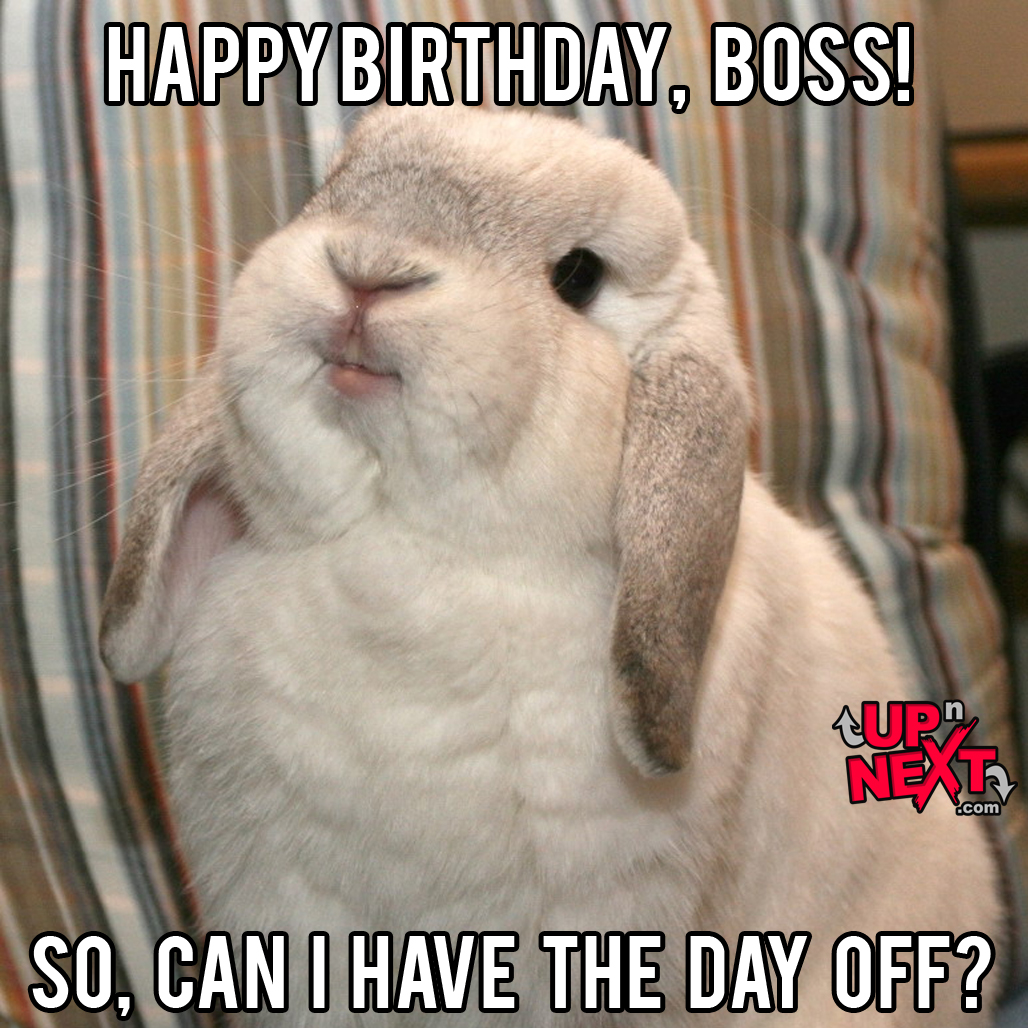 funny boss birthday meme