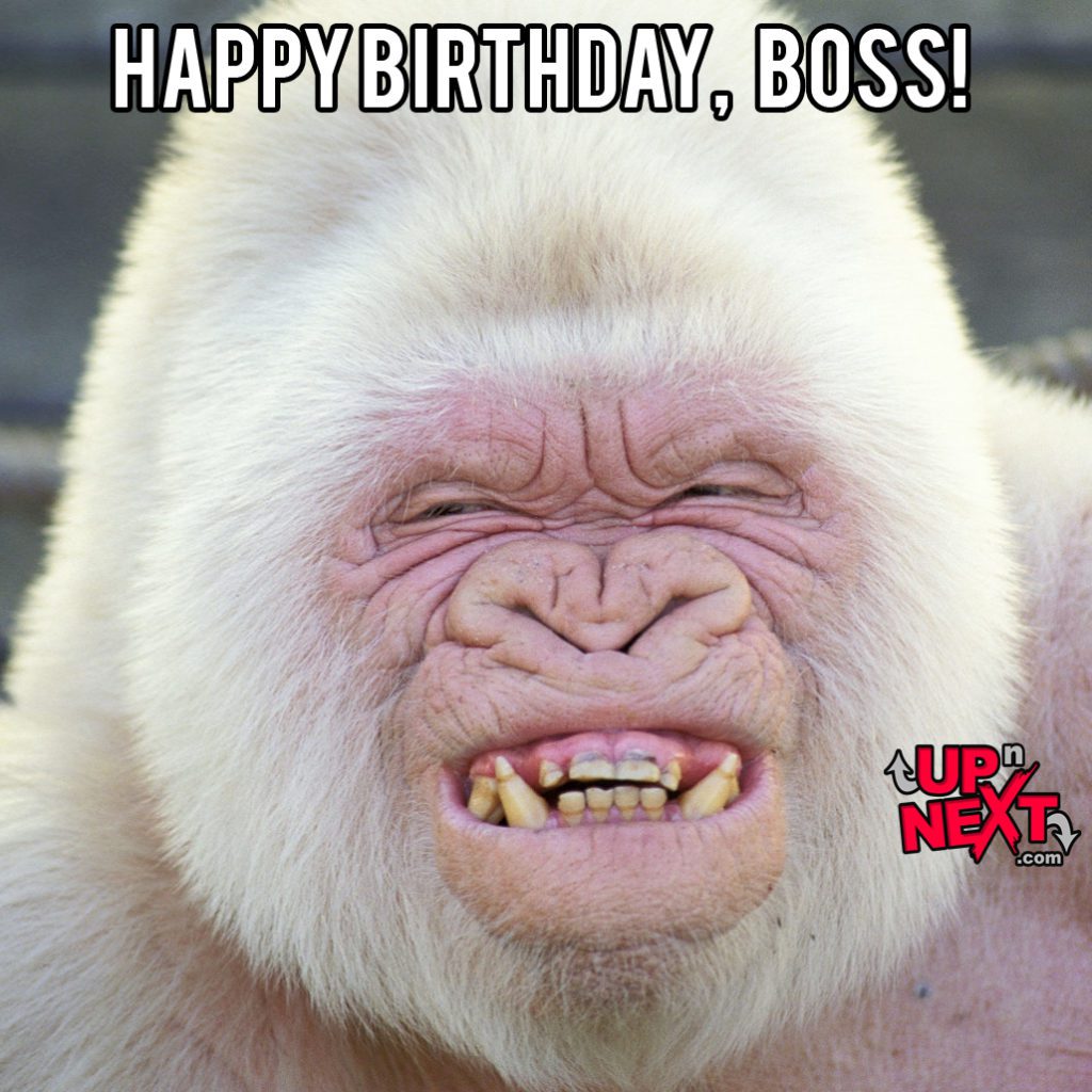 happy birthday boss images funny
