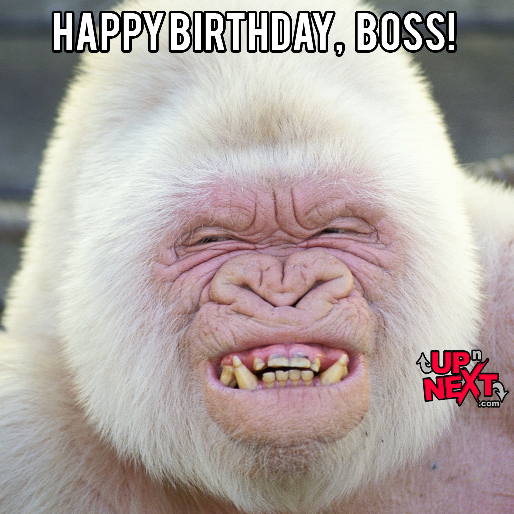 20 Funny Happy Birthday Boss Memes 
