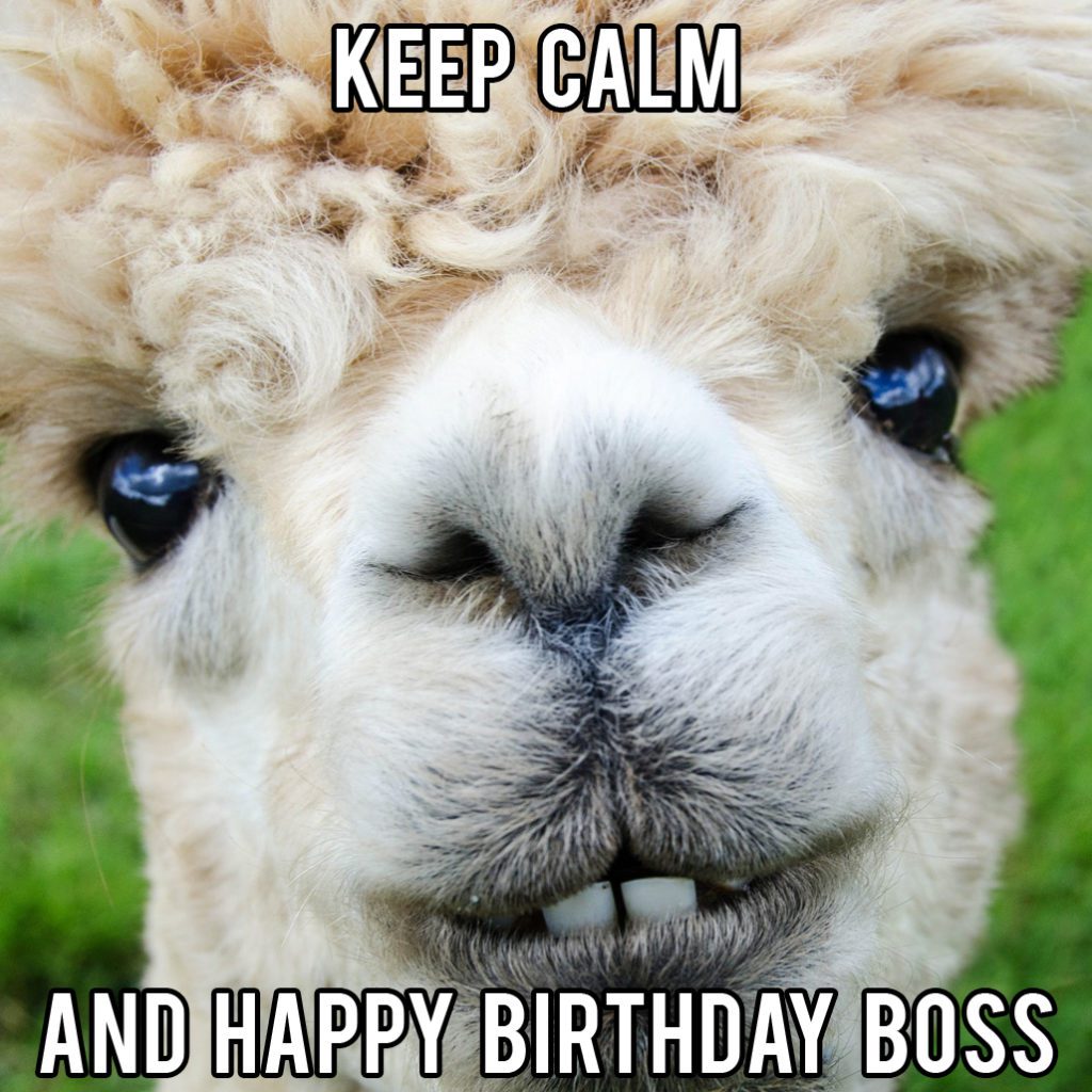 funny boss birthday