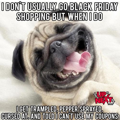 21 - I-Dont-Usually-Go-Black-Friday-Shopping-Meme